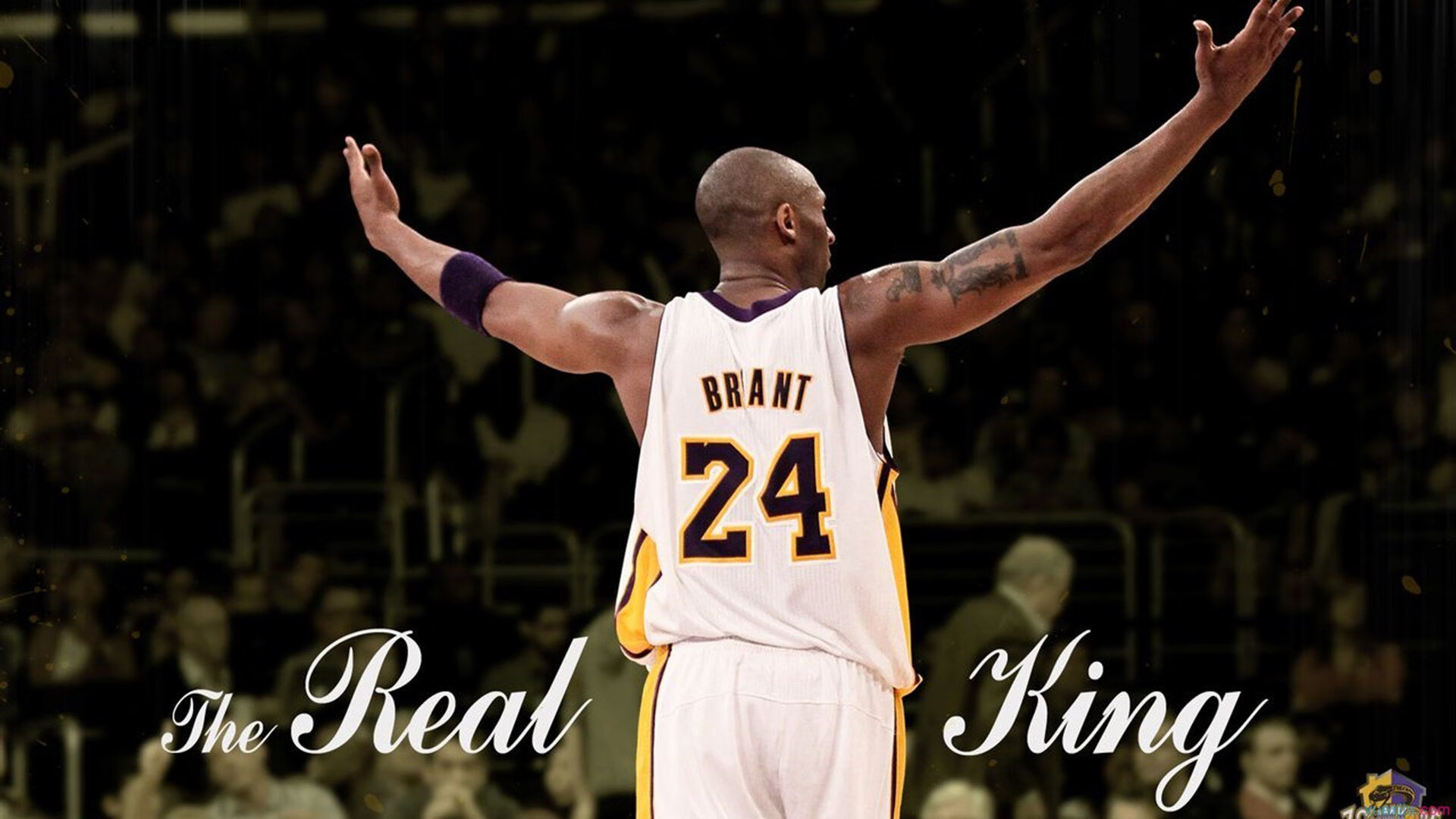 体育新闻中心跨界合作亮点,体育新闻中心跨界合作亮点分析