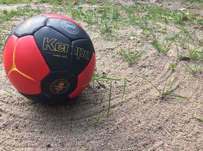 jiuyou入口-安提瓜和巴布达在中美洲锦标赛中夺冠，体育实力不断崛起