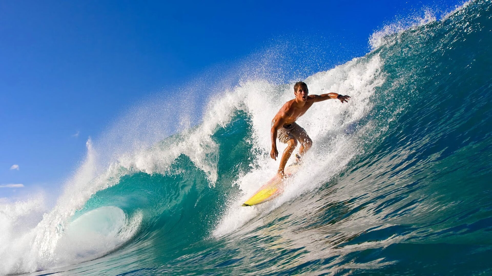九游体育登录入口-张雨霏比赛中展现超强后程冲刺能力，张雨霏的比赛项目